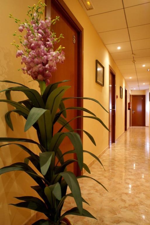 Hotel Mont-Roig Mont-roig del Camp Bagian luar foto
